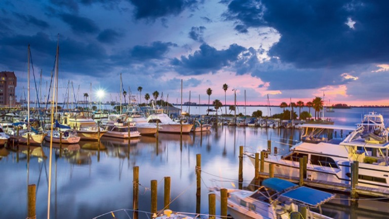 City of Dunedin, Florida Rimma Sigal 